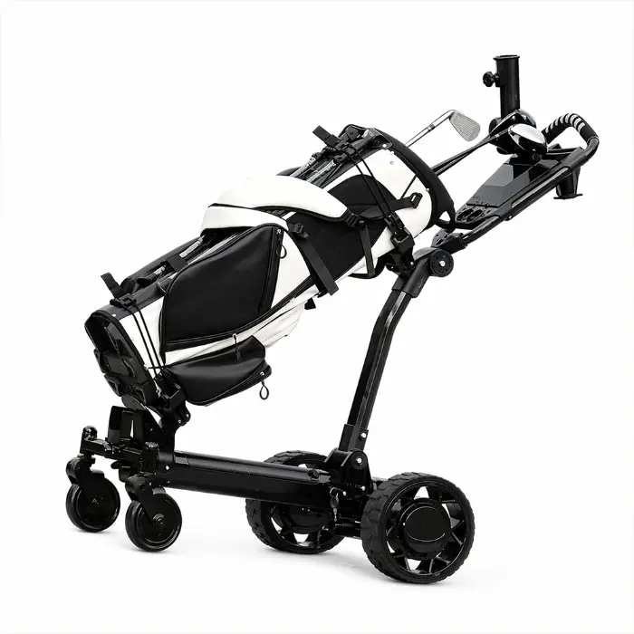 electric golf scooter